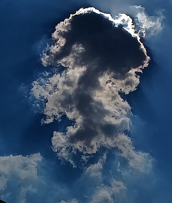 õ